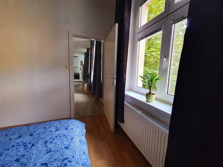 Lovely & Unique Apt In The Historic Center. Pressburg Exterior foto