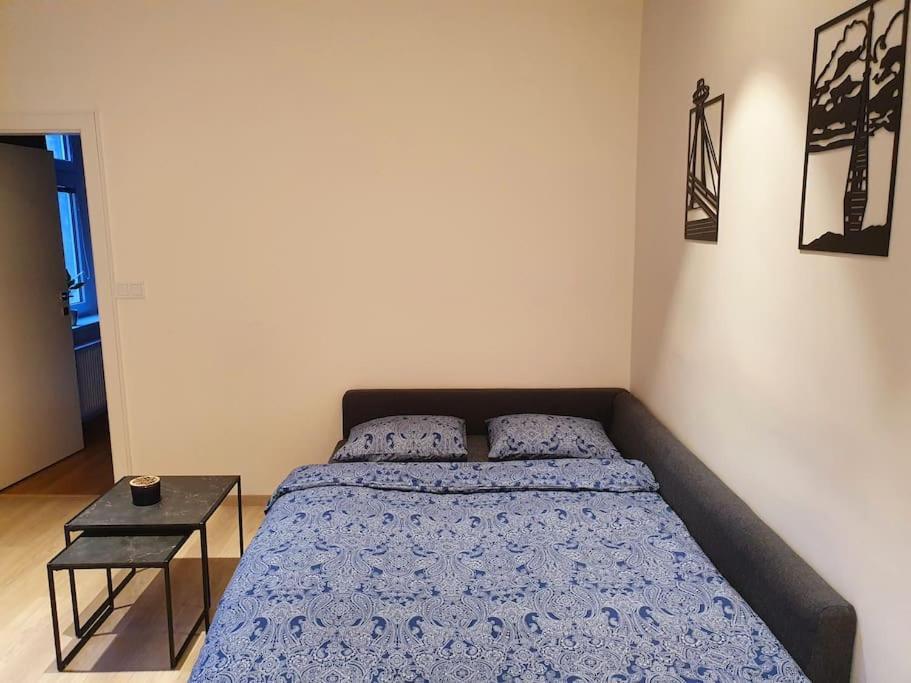Lovely & Unique Apt In The Historic Center. Pressburg Exterior foto